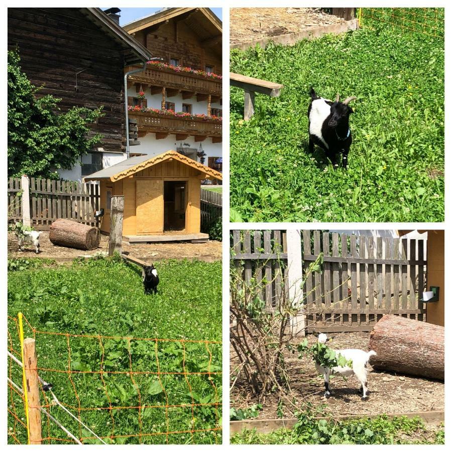Obergrundhof Apartamento Leogang Exterior foto